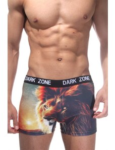 Darkzone Aslan Desenli Renkli 3D Boxer - DZN1052
