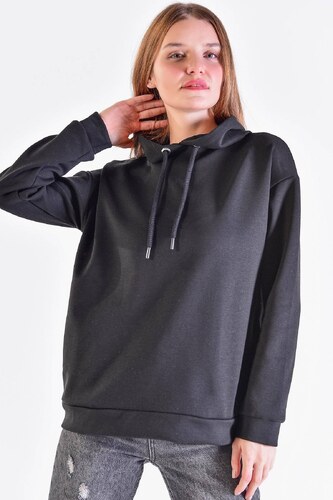 addax nasa sweatshirt