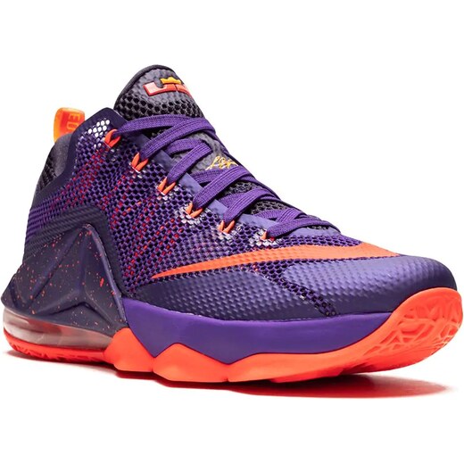 lebron nike shoes purple