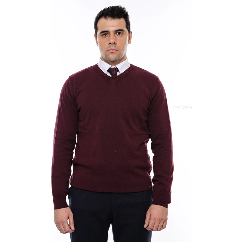Wessi V Yaka Bordo Erkek Triko